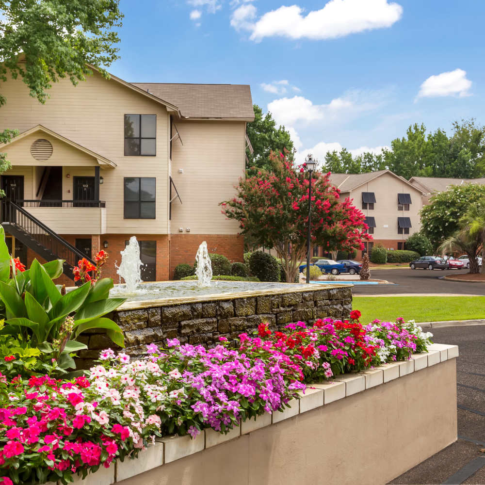 Entrance with full greenery all around at The Arbors On Taylor in Montgomery, Alabama