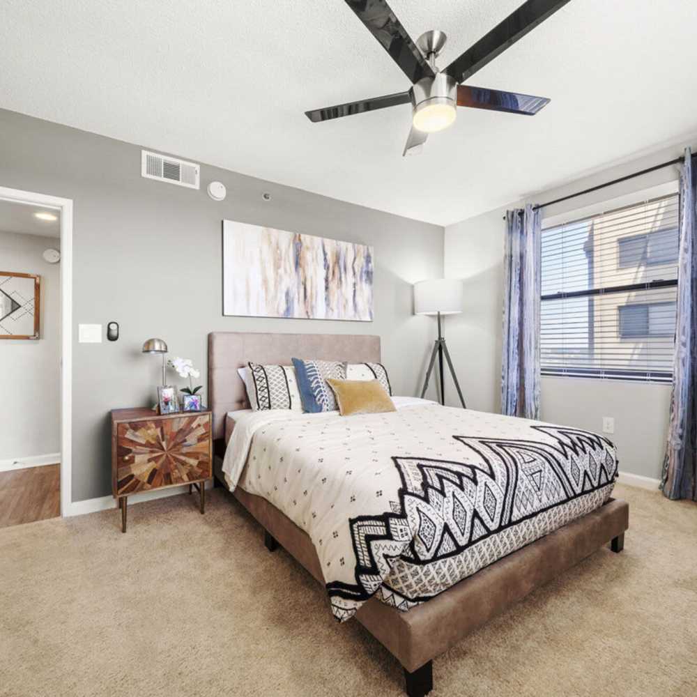 Bright bedroom with large bed, window, ceiling fan and carpet flooring at The Eva in Sandy Springs, Georgia