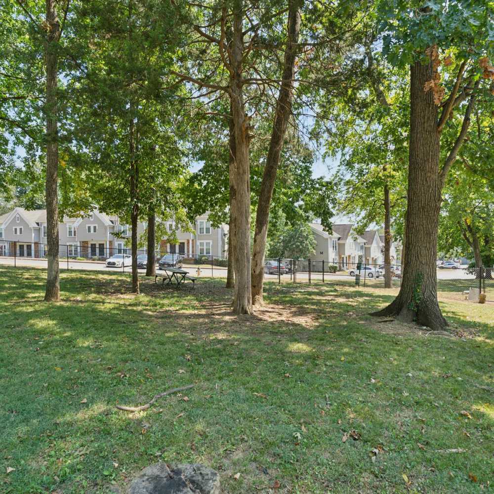 Sun decks by poolside at Piccadilly Apartments in Goodlettsville, Tennessee