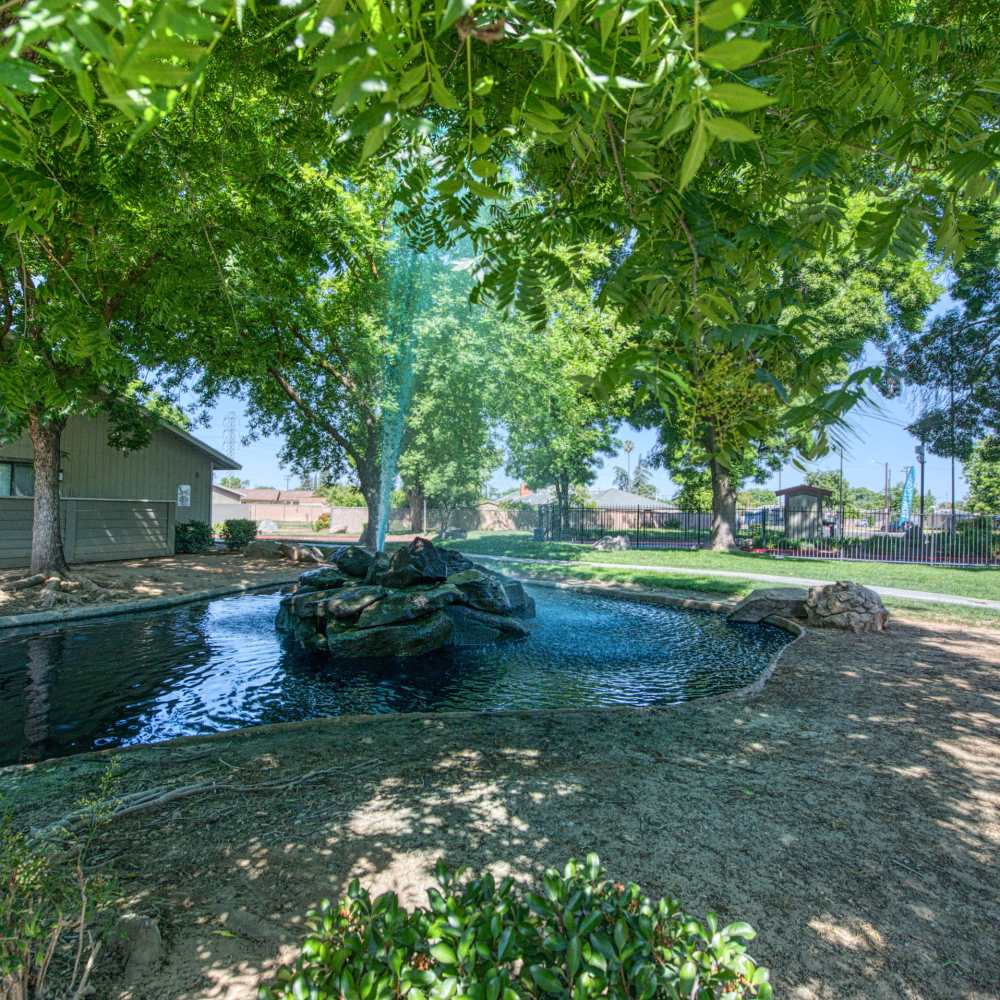 Beautiful view of lake and trees in the community at The Landing at Fancher Creek in Fresno, California, 
