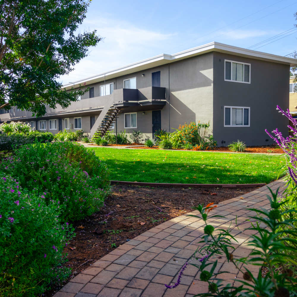 Sunny outdoor area with grass patch at Garden Court Apartments in Alameda, California