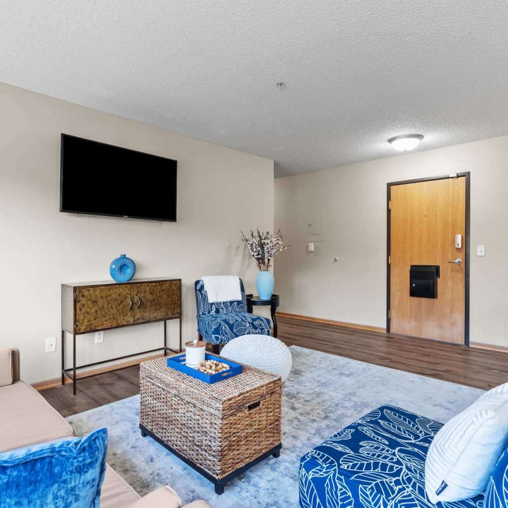Well-lit living room with a couch, coffee table and a TV at Granite Peaks in Minneapolis, Minnesota