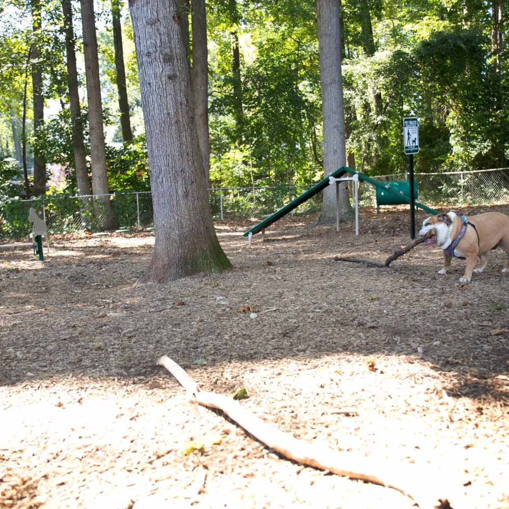 Dog park at The Elms at Oakton in Fairfax,Virginia