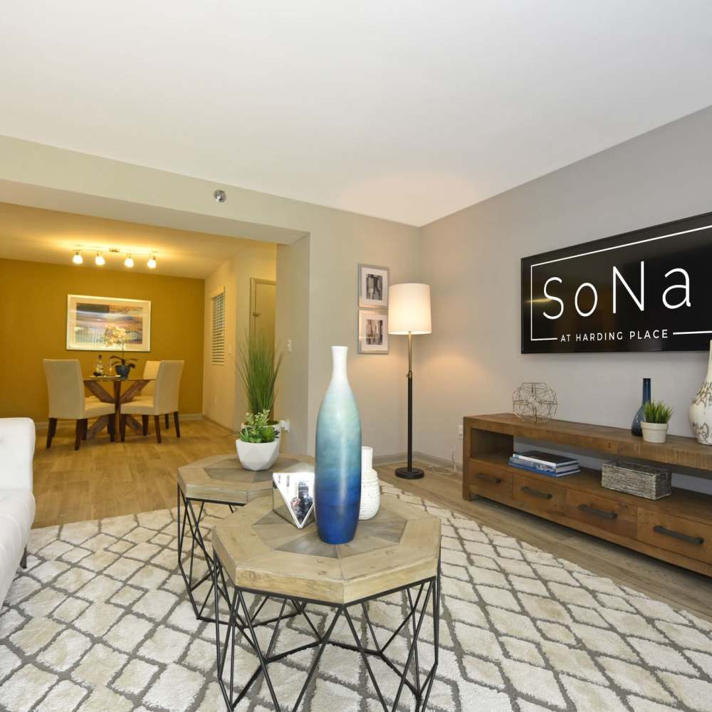 Well-furnished apartment living area at Sona at Harding in Nashville, Tennessee