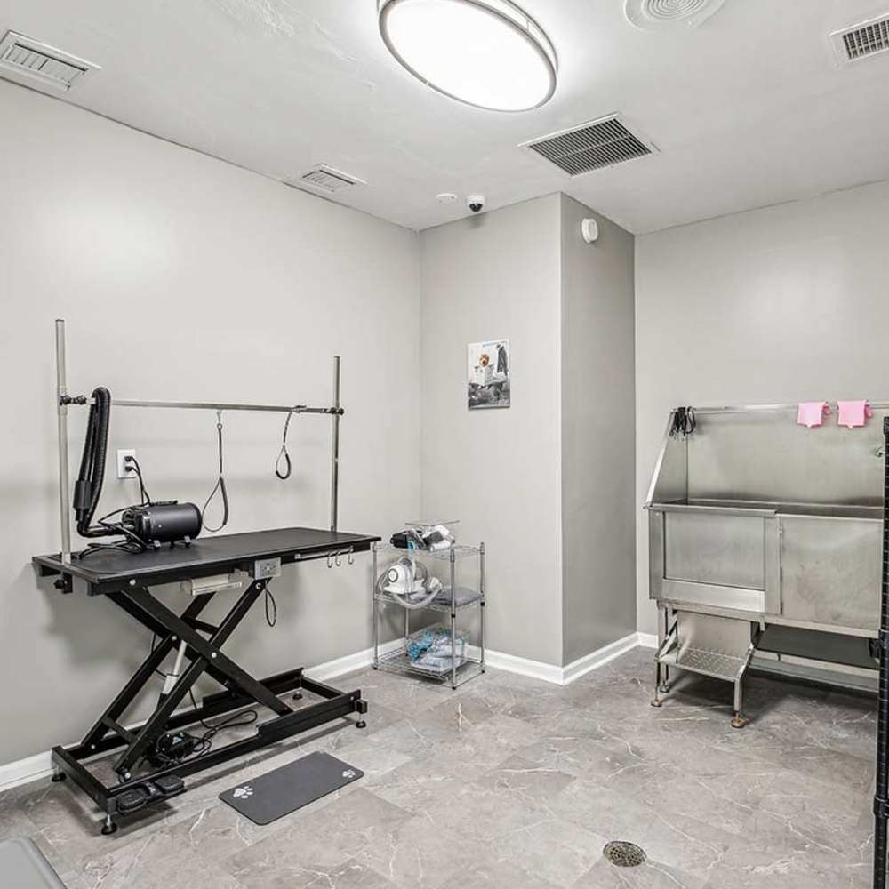 On-site dog spa at Grande Oaks in Roswell, Georgia