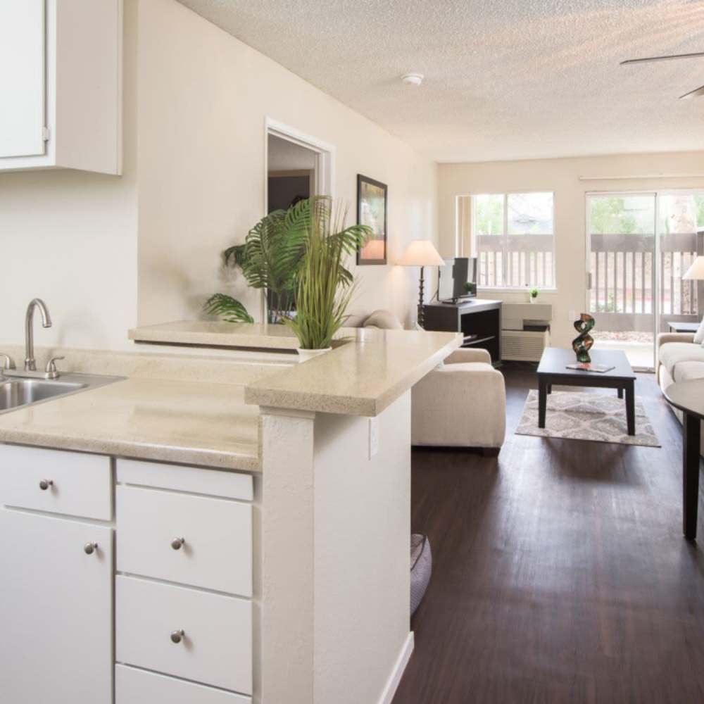 Modern Apartments at Clayton Gardens in Concord, California