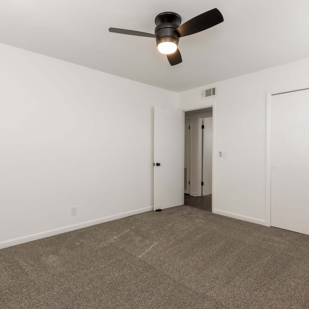 Carpeted bedroom at New Village At Hermitage in Hermitage, Tennessee