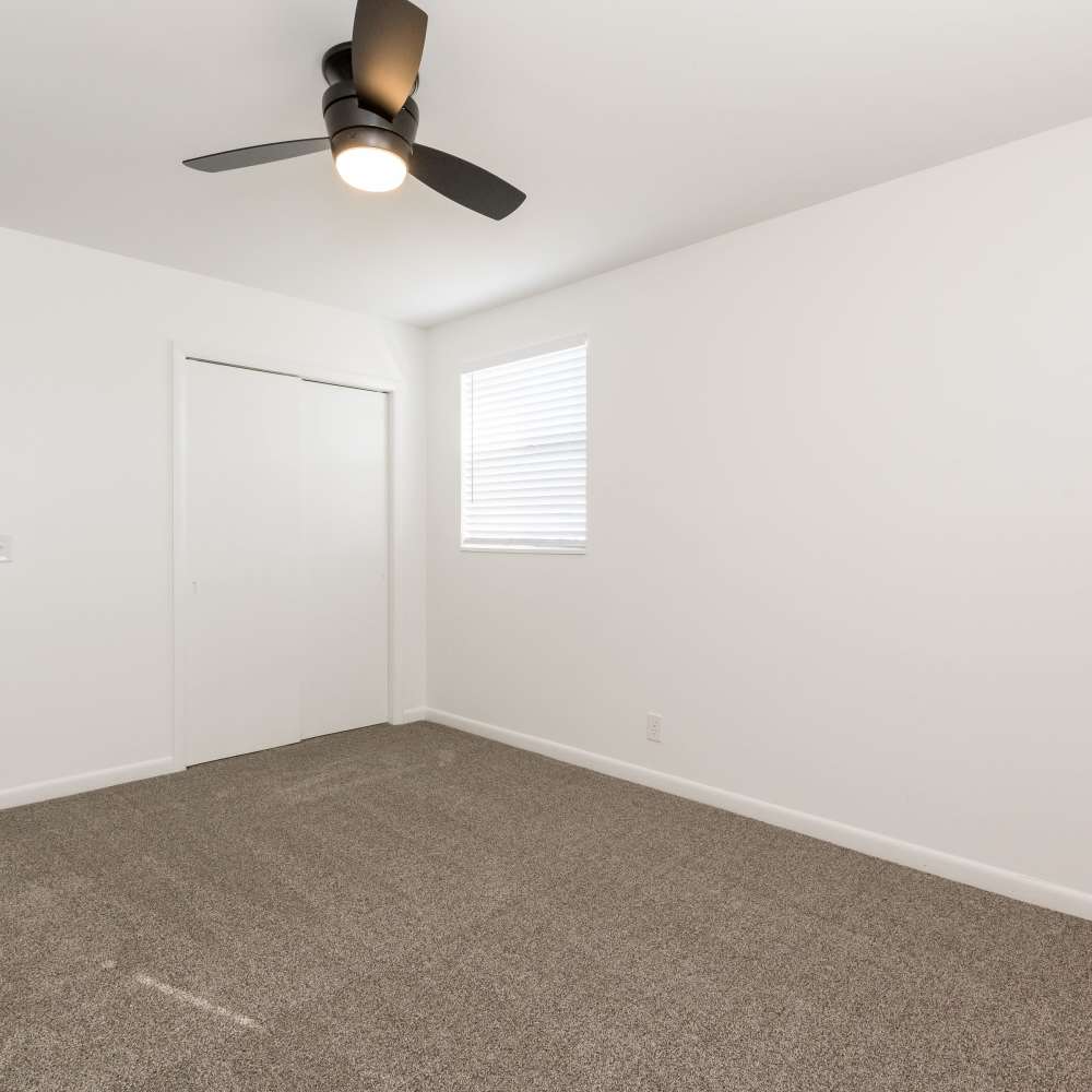 Bedroom with carpet and a ceiling fan at New Village At Hermitage in Hermitage, Tennessee