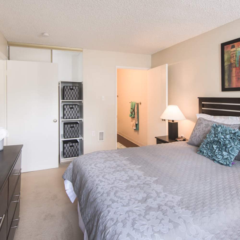Modern Apartments at Clayton Gardens in Concord, California