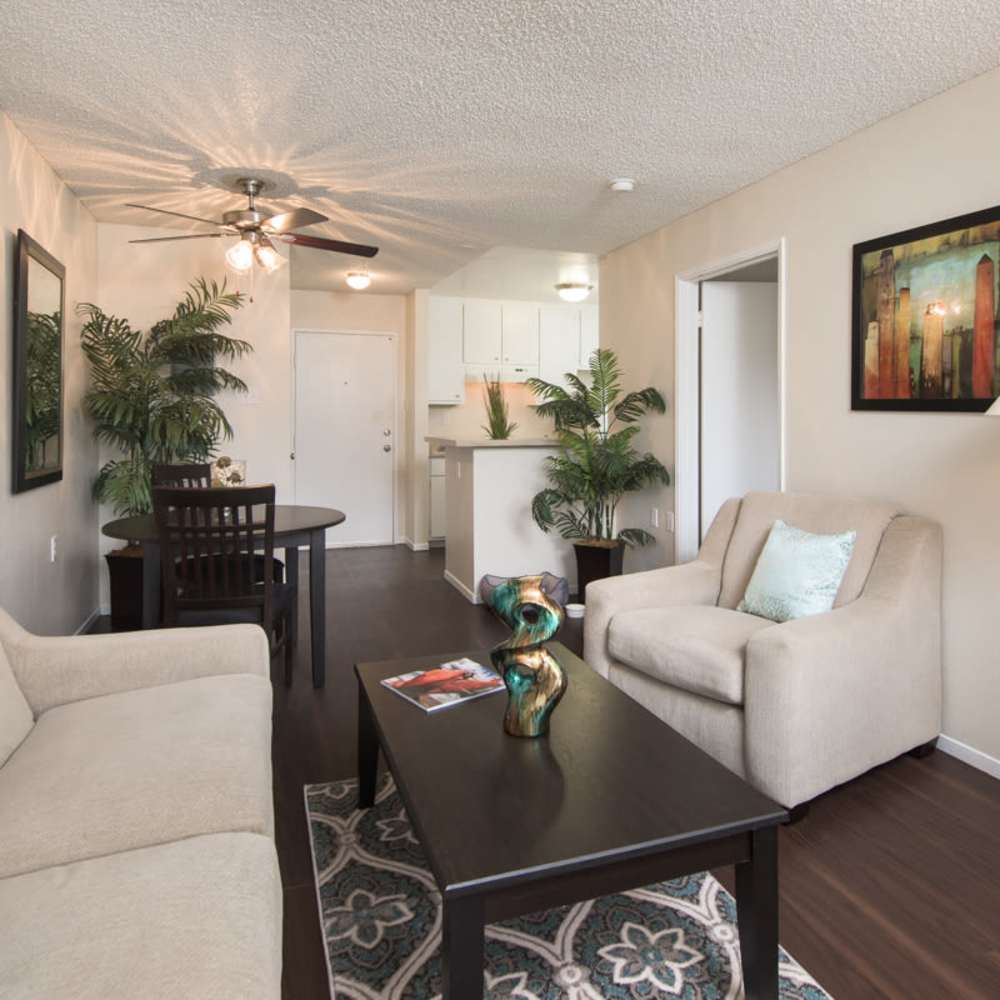Modern Apartments at Clayton Gardens in Concord, California