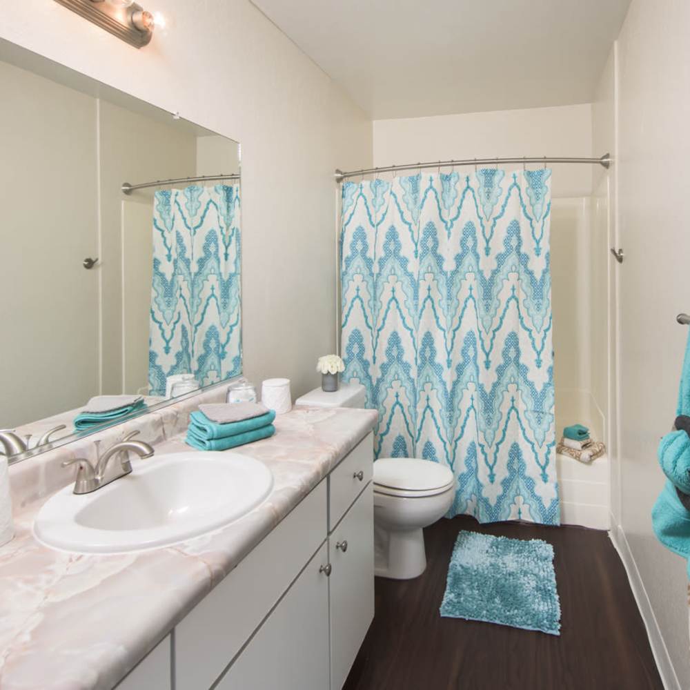 Modern Apartments at Clayton Gardens in Concord, California