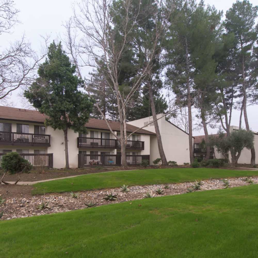 Modern Apartments at Clayton Gardens in Concord, California