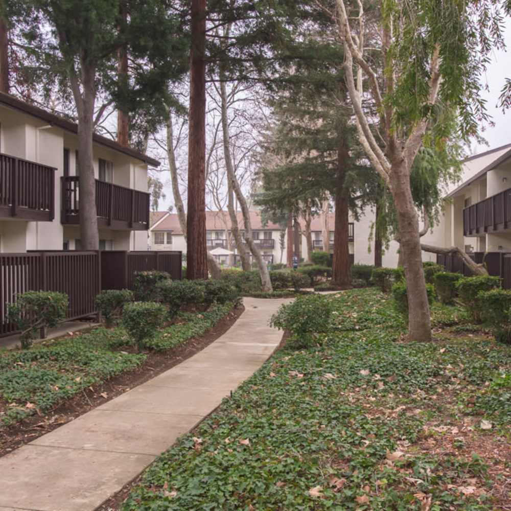 Modern Apartments at Clayton Gardens in Concord, California