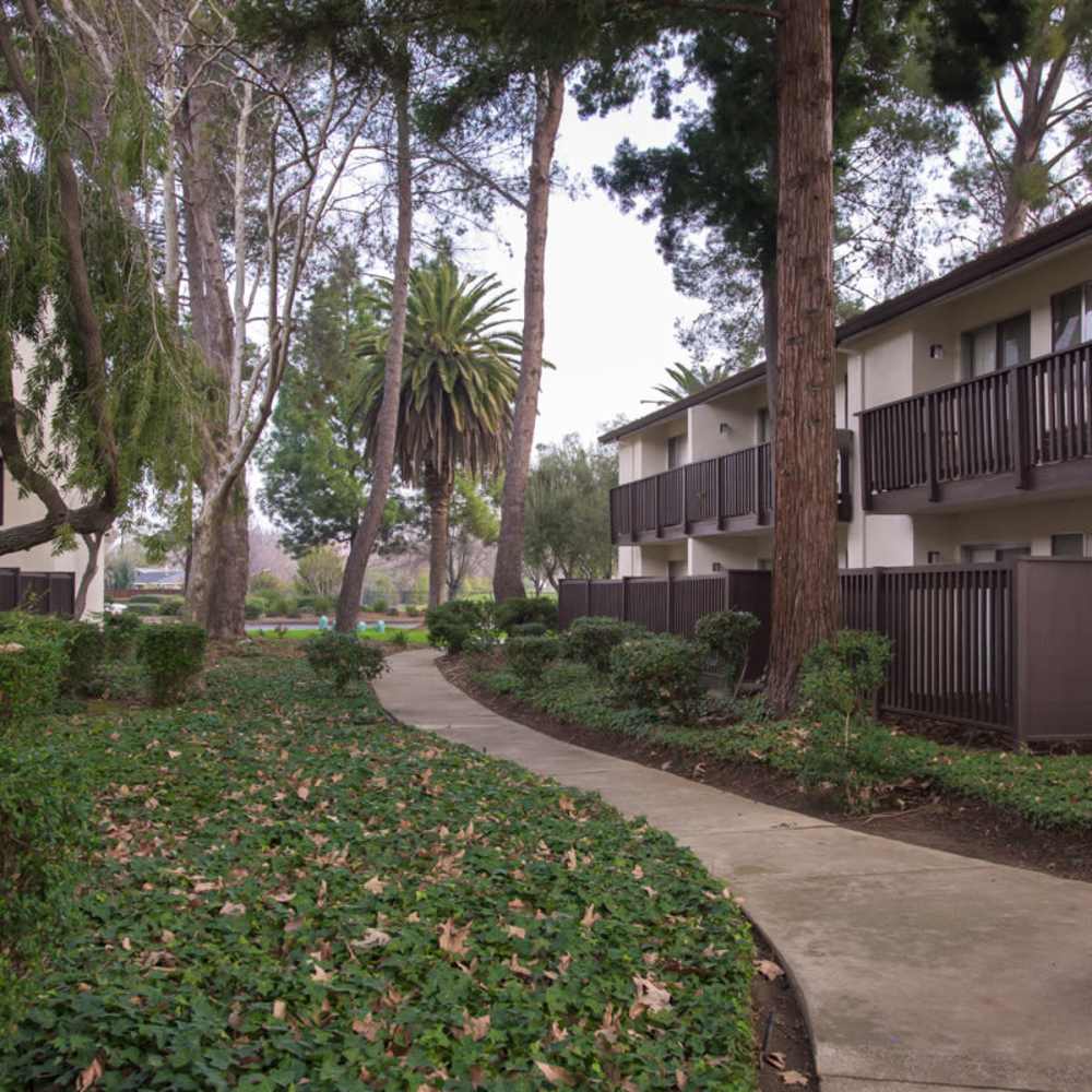 Modern Apartments at Clayton Gardens in Concord, California