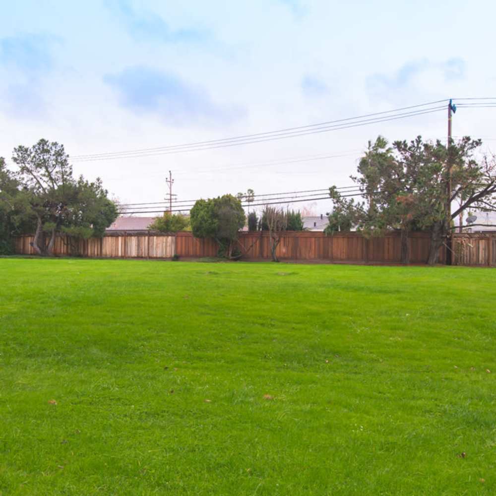 A neat surroundings at Village Green Apartments in San Jose, California