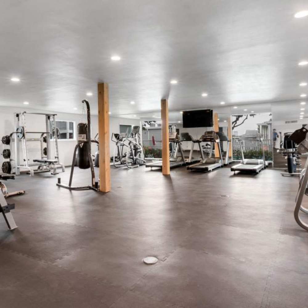  Fitness center at The Grand 1501 in College Station, Texas