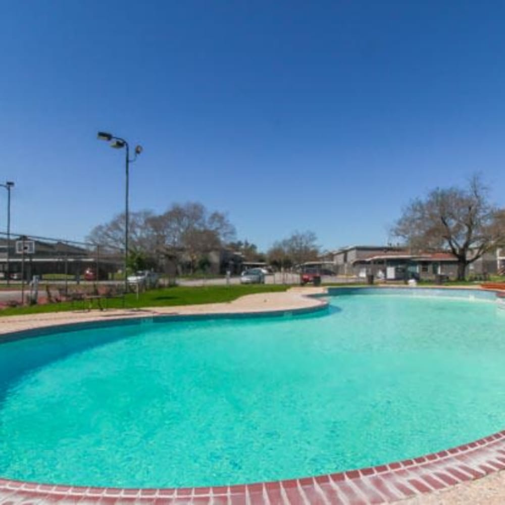 Swimming pool at The Grand 1501 in College Station, Texas
