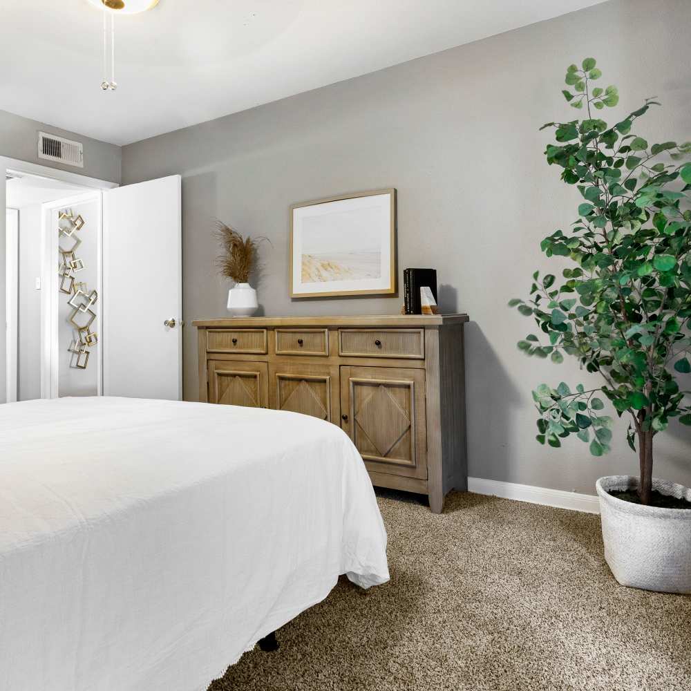 Apartment bedroom with plush carpet flooring at The Ivy in College Station,Texas