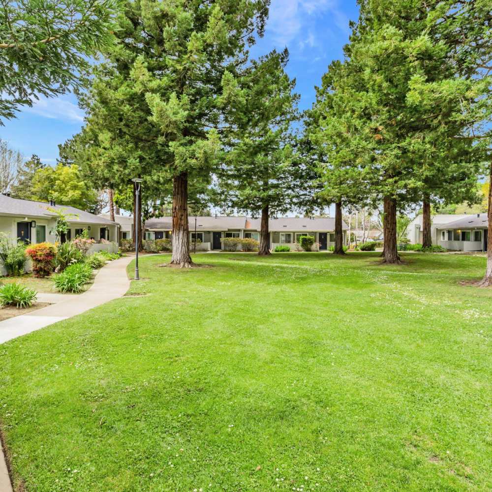 Lots of walking paths and  green lawn at Capitola Gardens in Capitola, California, 