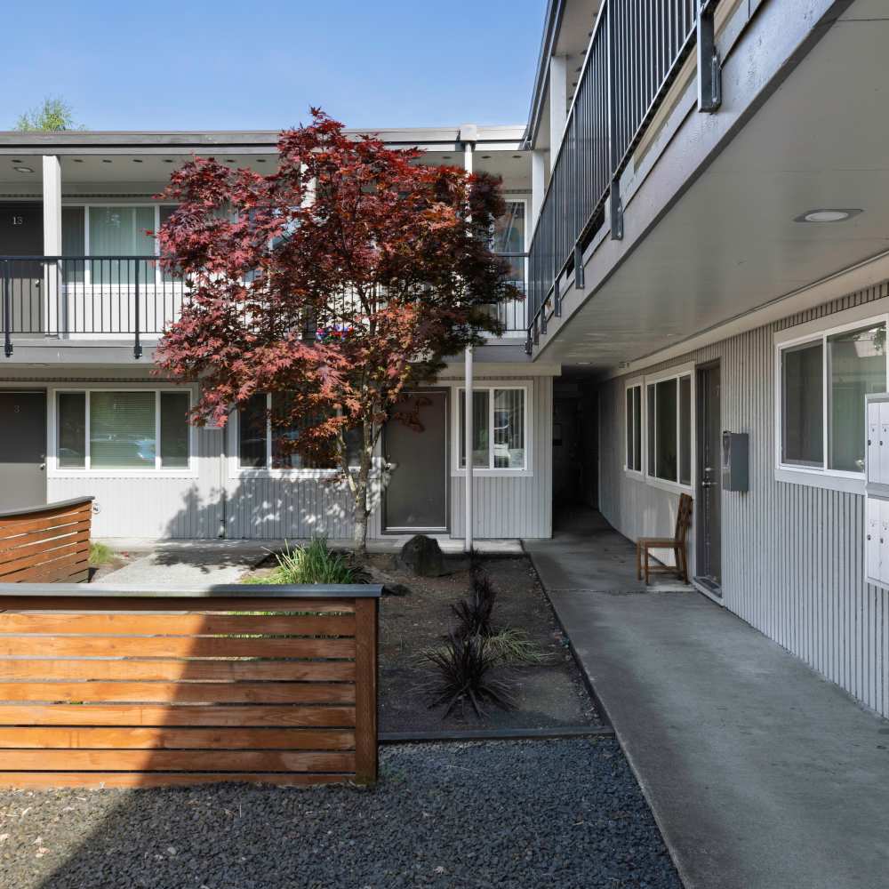 View of apartment at Brentwood 509 Apartments in Olympia, Washington