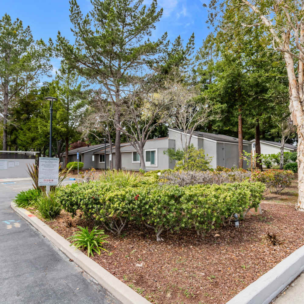 Lots of grass and walking paths around Capitola Gardens in Capitola, California, 