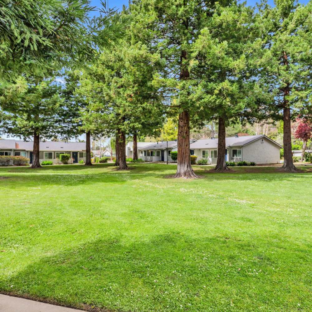 Grassy walking path with trees surrounding at Capitola Gardens in Capitola, California, 