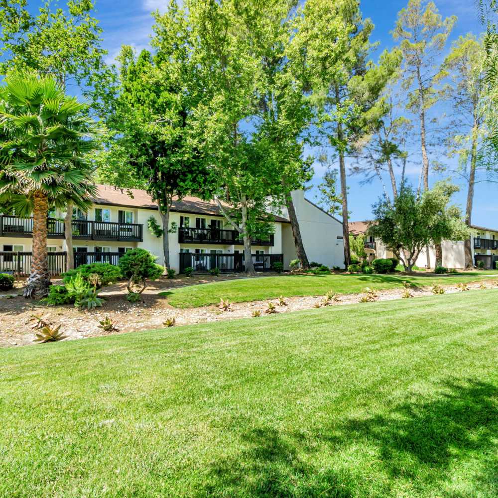 Exterior pathway of an apartment at Clayton Gardens in Concord, California