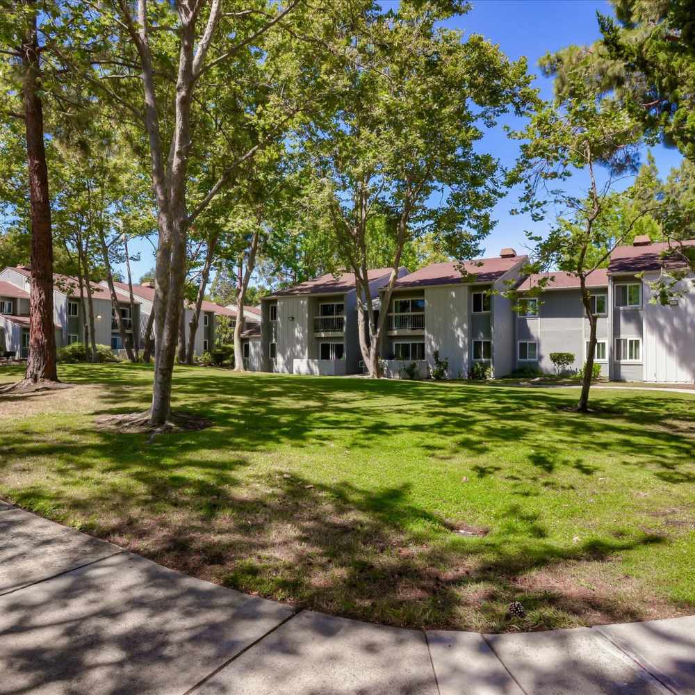 View of the community at Terman Apartments in Palo Alto, California