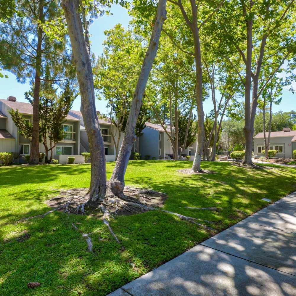 View of the community with full of grrenery all around at Terman Apartments in Palo Alto, California