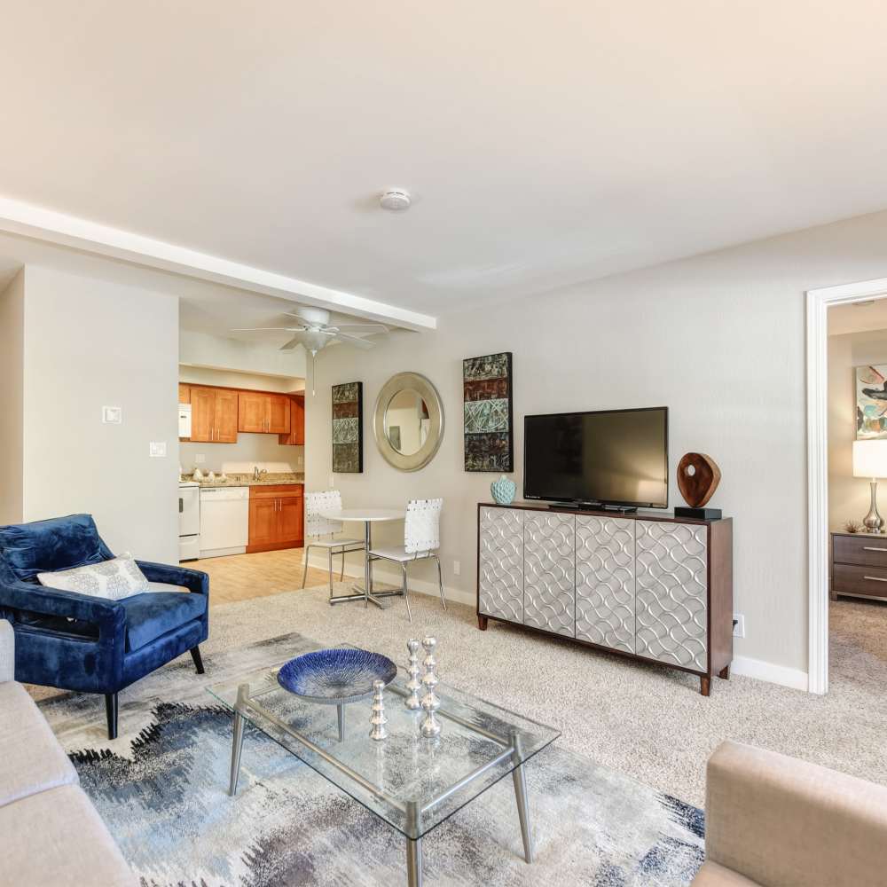 Open concept living spaces at Fayette Arms Apartments in Mountain View, California,