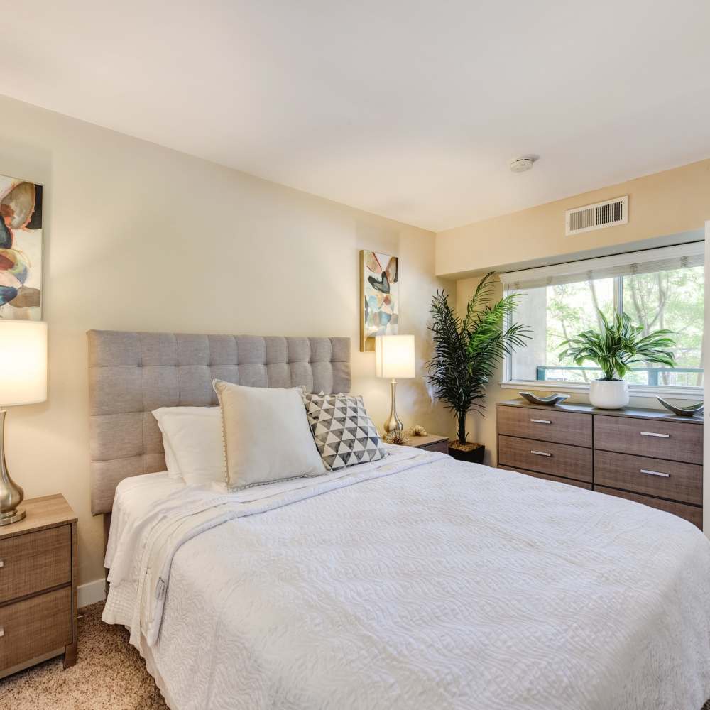 Spacious bedroom with large comfortable bed at Fayette Arms Apartments in Mountain View, California,