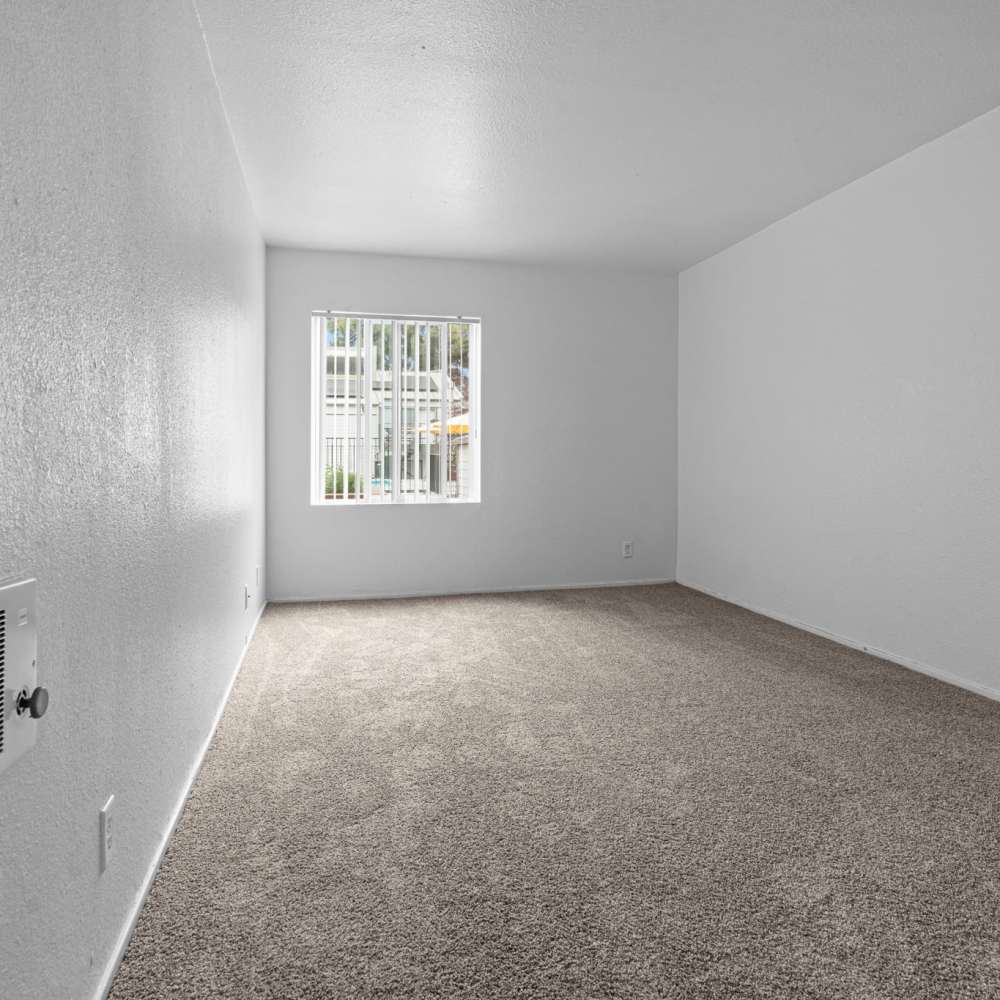 Bedroom with a large window and plush carpet at Piedmont in Oakland, California