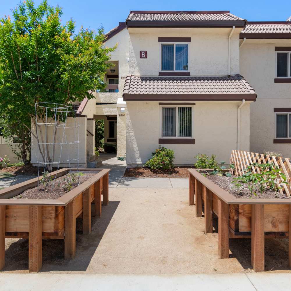 Community garden at Mission Gardens in Santa Cruz, California