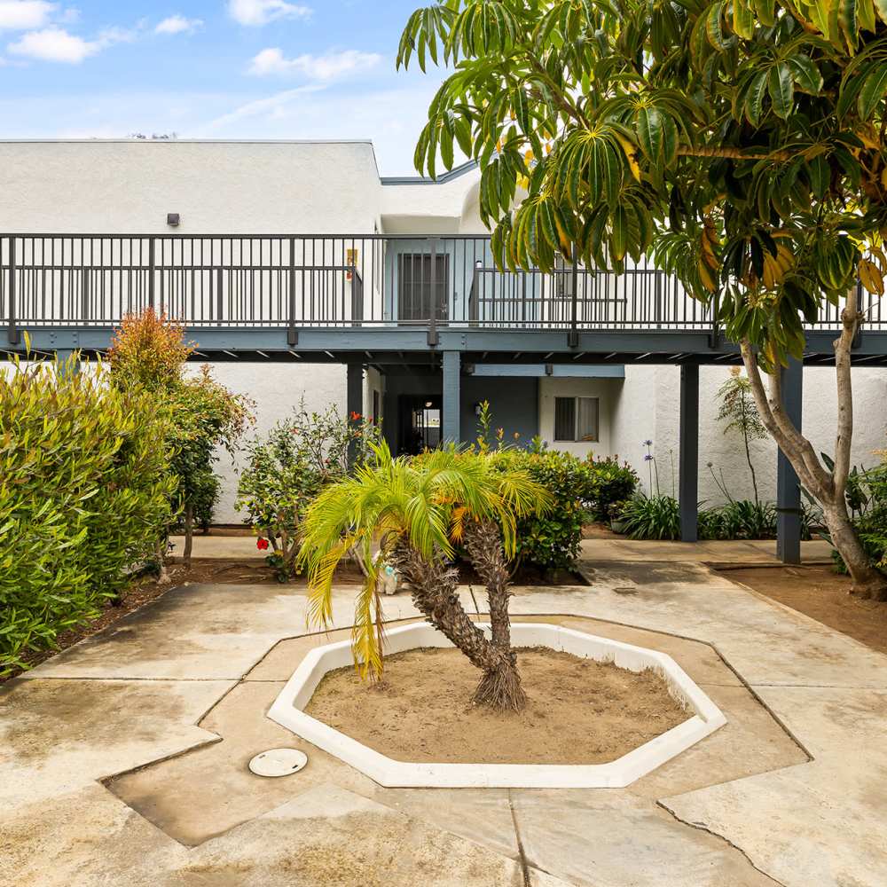A courtyard featuring a tree and bushes in front of a building, creating a serene outdoor space at Mar at Grove in Imperial Beach, California