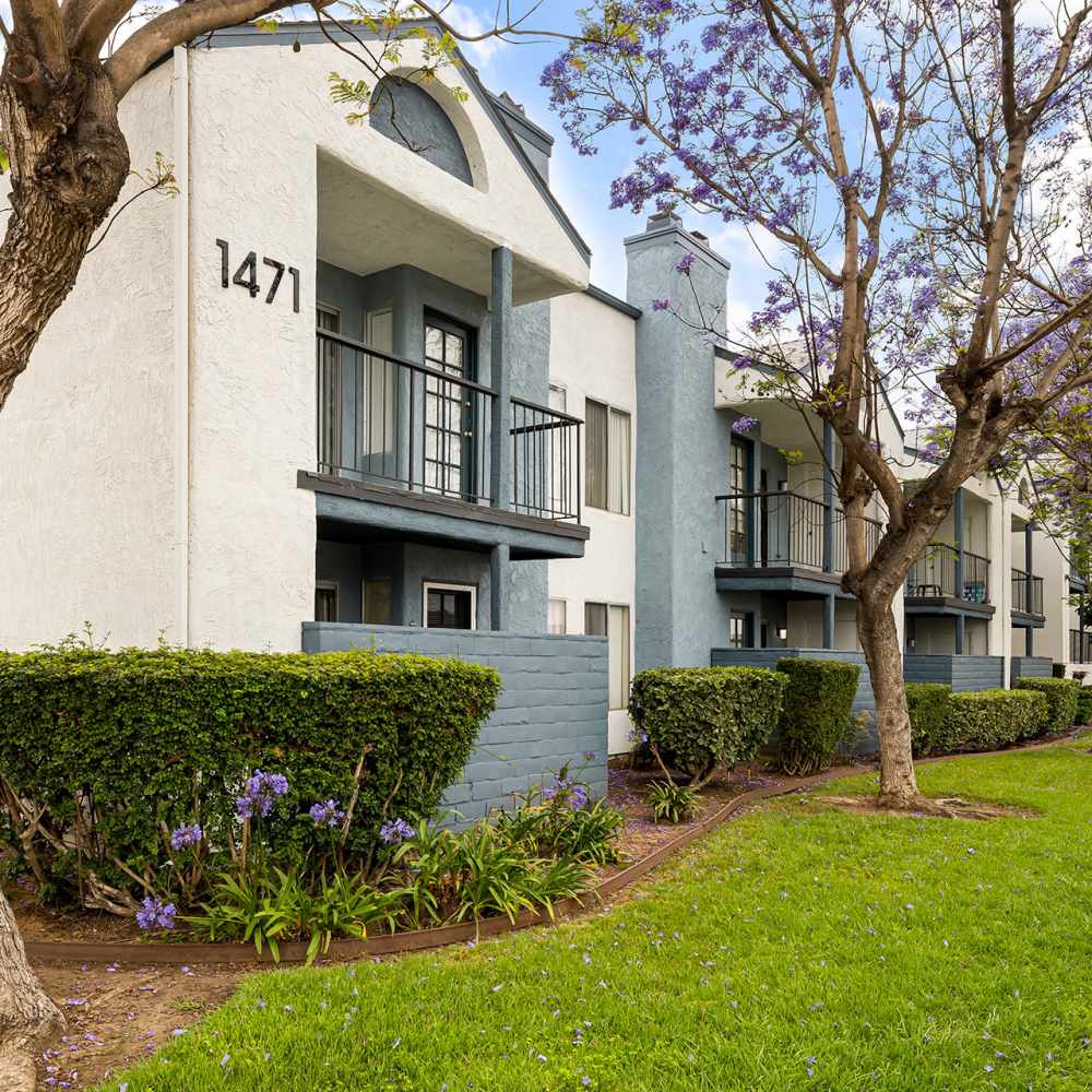 Multiple apartment units with balcony at Mar at Grove in Imperial Beach, California