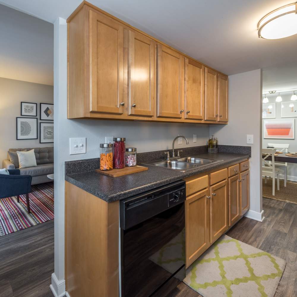 Kitchen with a dishwasher at Reserve South in Richmond, Virginia