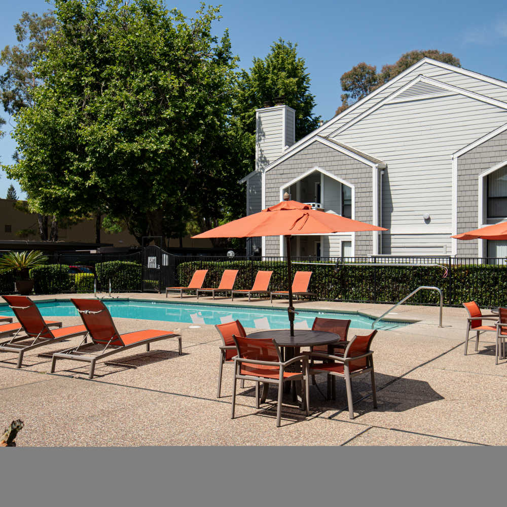 Scenic poolside area with lounge chairs and umbrellas at Riverstone Apartment Homes, surrounded by greenery at Riverstone Apartments in Sacramento, California