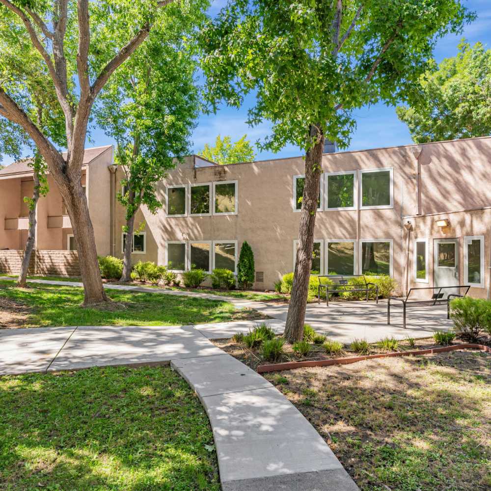 Apartment surrounded by landscaping  at Martinez Hillside in Martinez, California