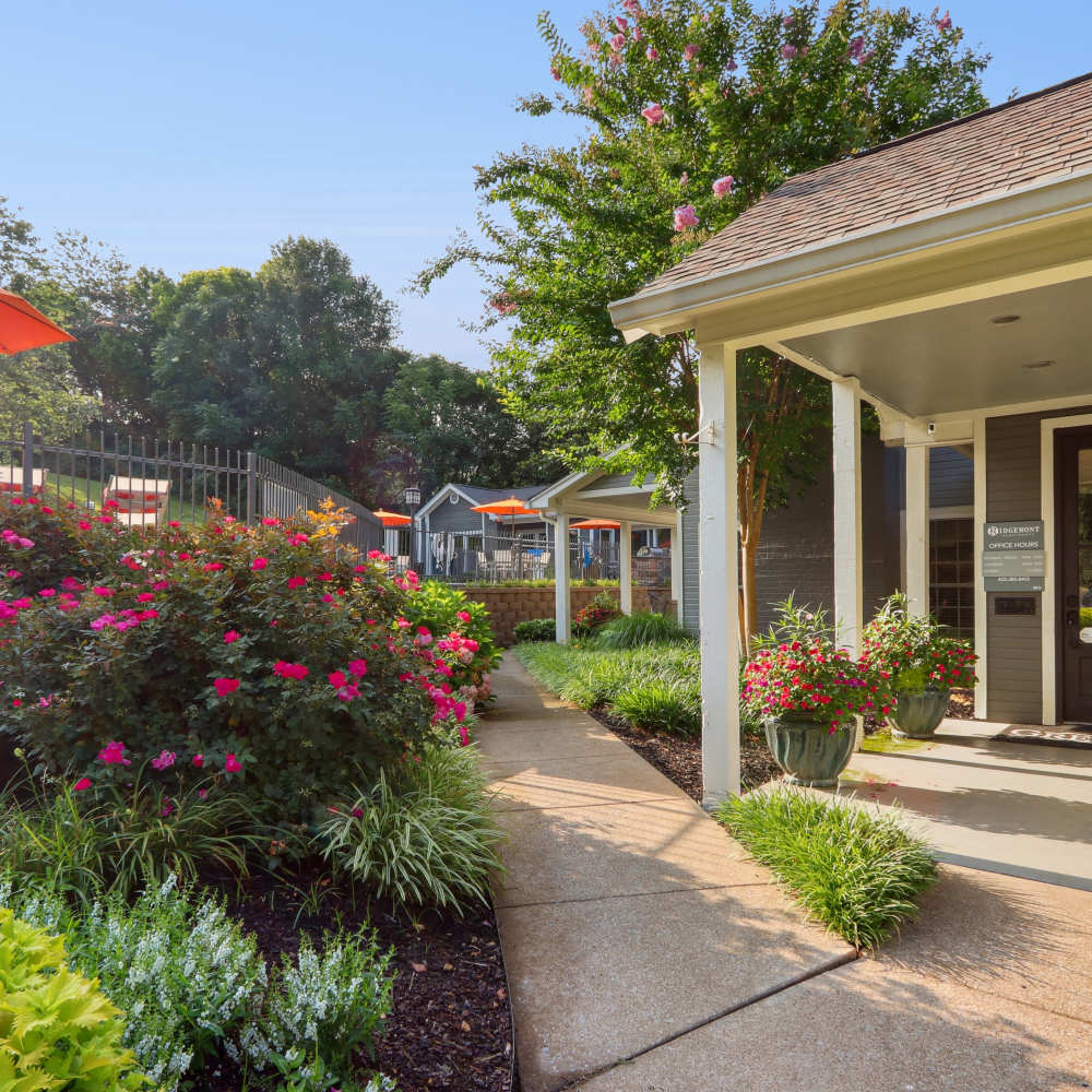 Lush and beautiful outdoor space at Ridgemont at Stringers Ridge in Chattanooga, Tennessee