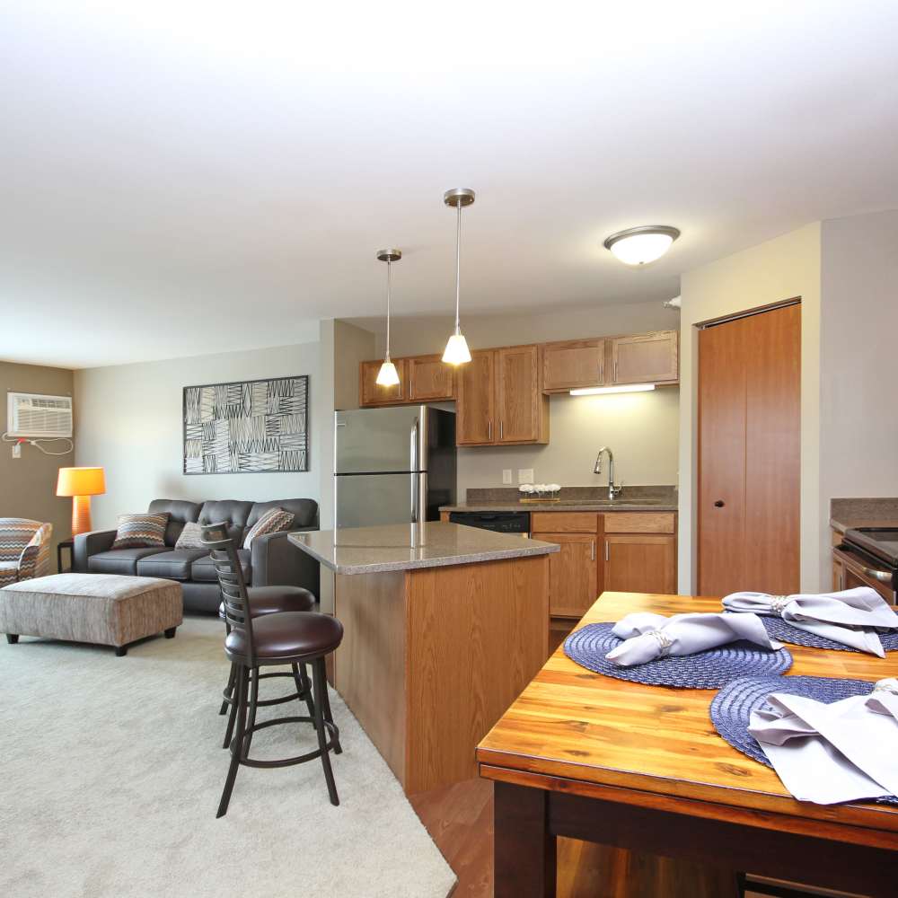 Kitchen with stainless steel appliance at Parkview East in Ramsey, Minnesota
