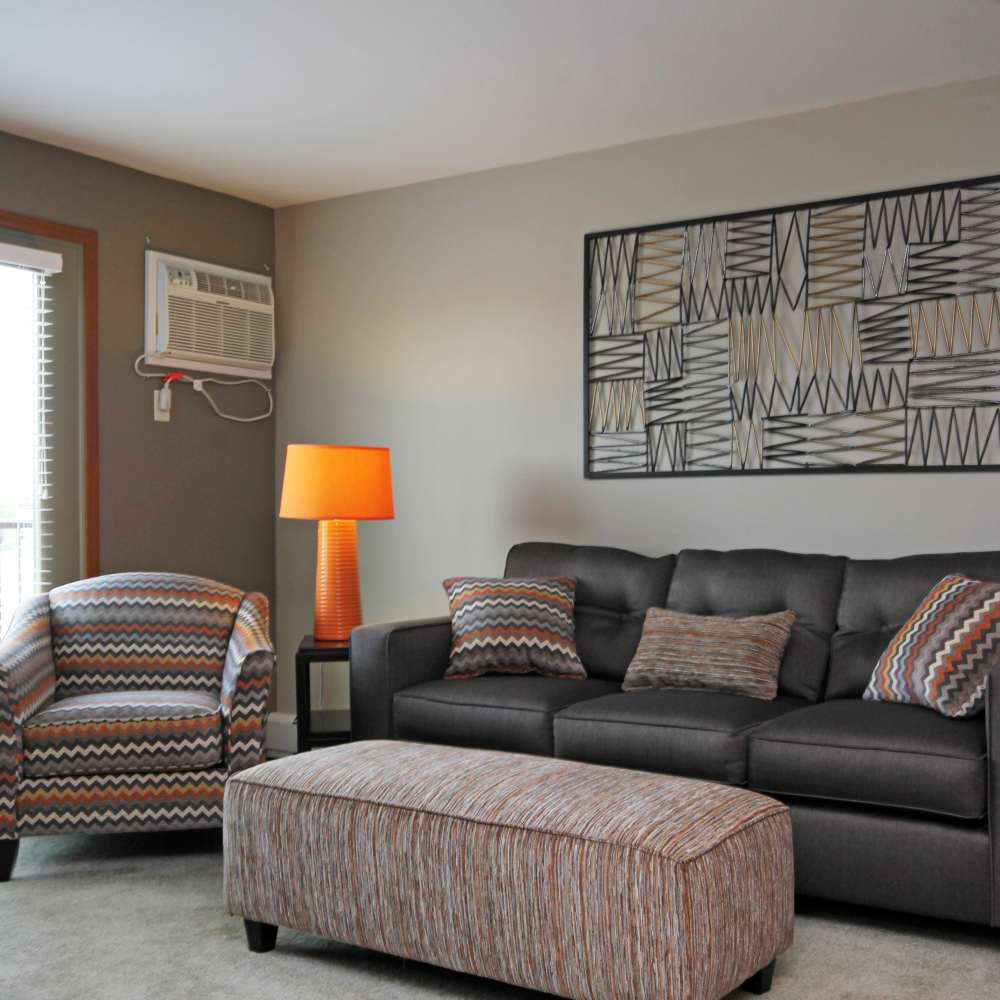 Living room with side lamp at Parkview East in Ramsey, Minnesota