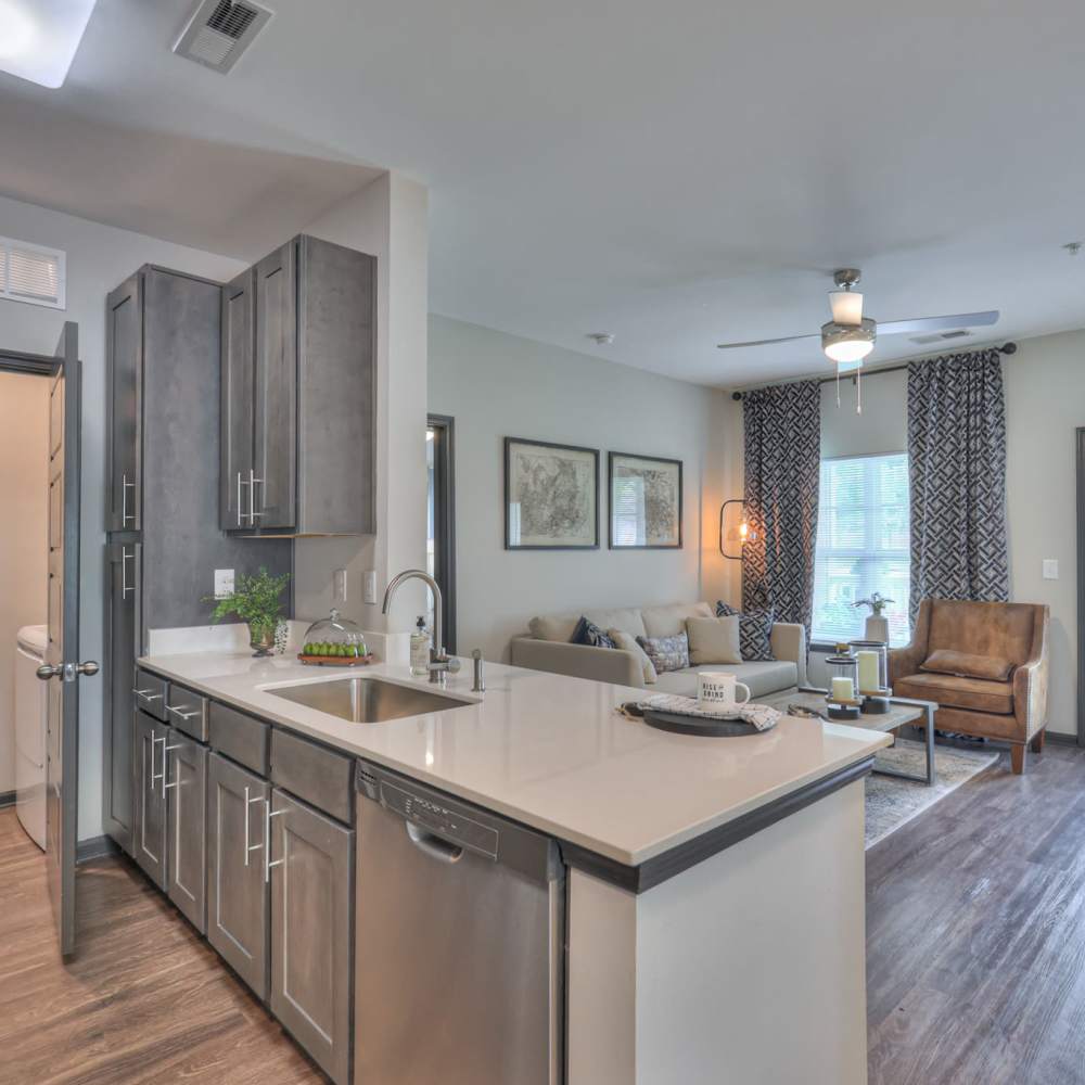 Kitchen with dishwasher at Anthem at Creekside in Smyrna, Tennessee