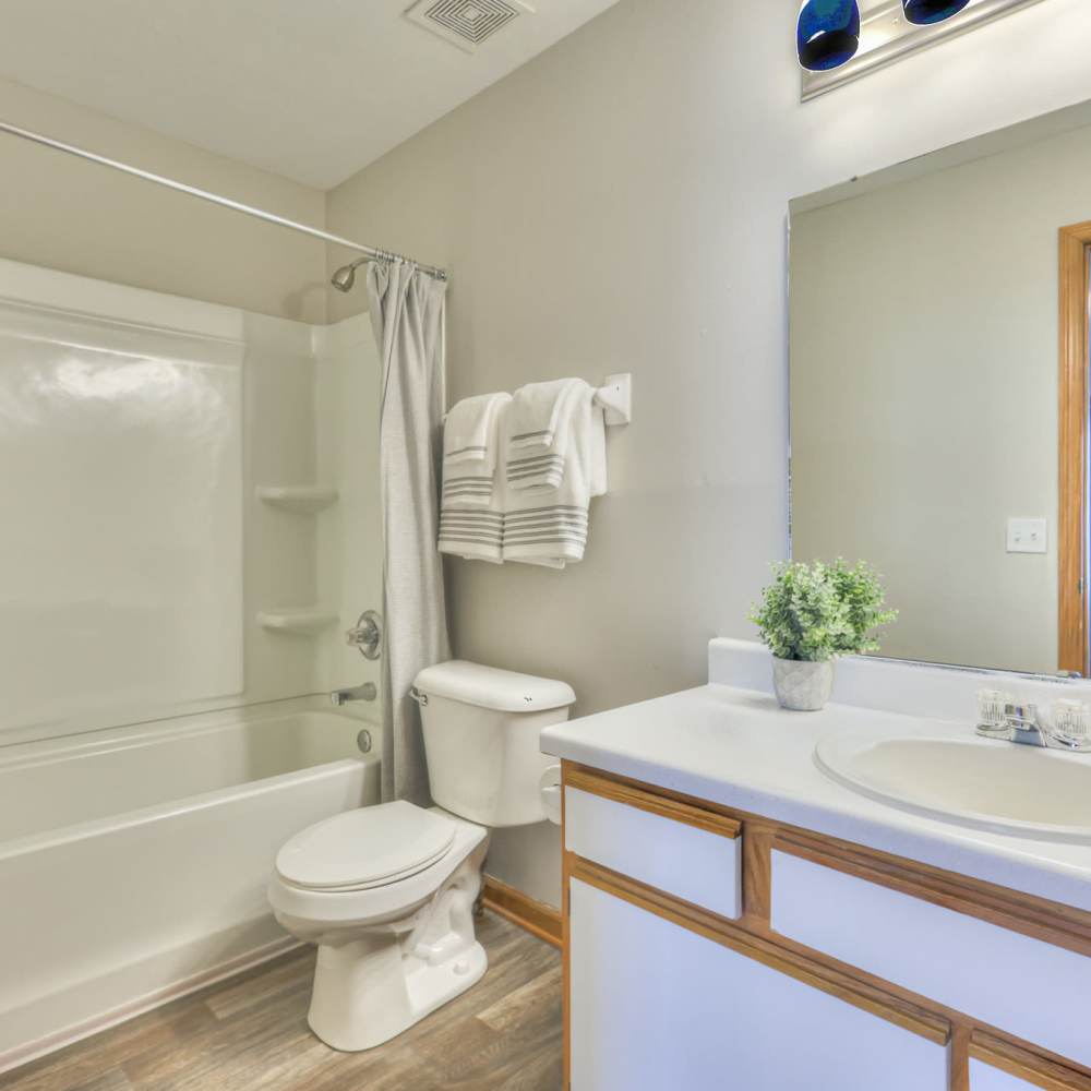 Bathtub and vanity unit inside the bathroom at Laurel Woods Apartments in Smyrna,Tennessee