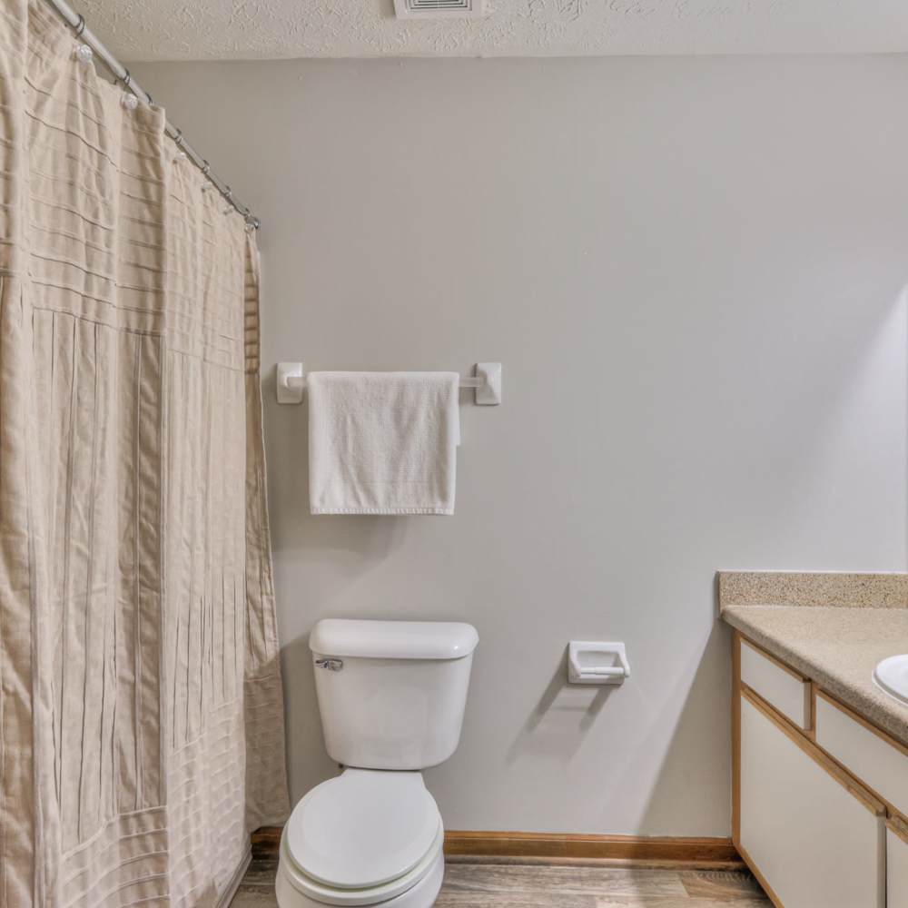 Wooden cabinetry and sanitary unit inside the bathroom at Laurel Woods Apartments in Smyrna,Tennessee
