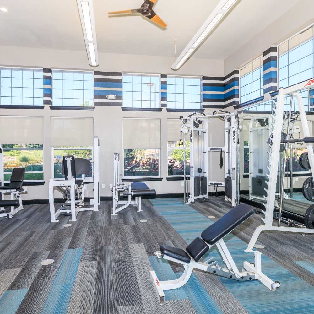 Gym equipment at Panorama at Arvada Ridge in Arvada, Colorado