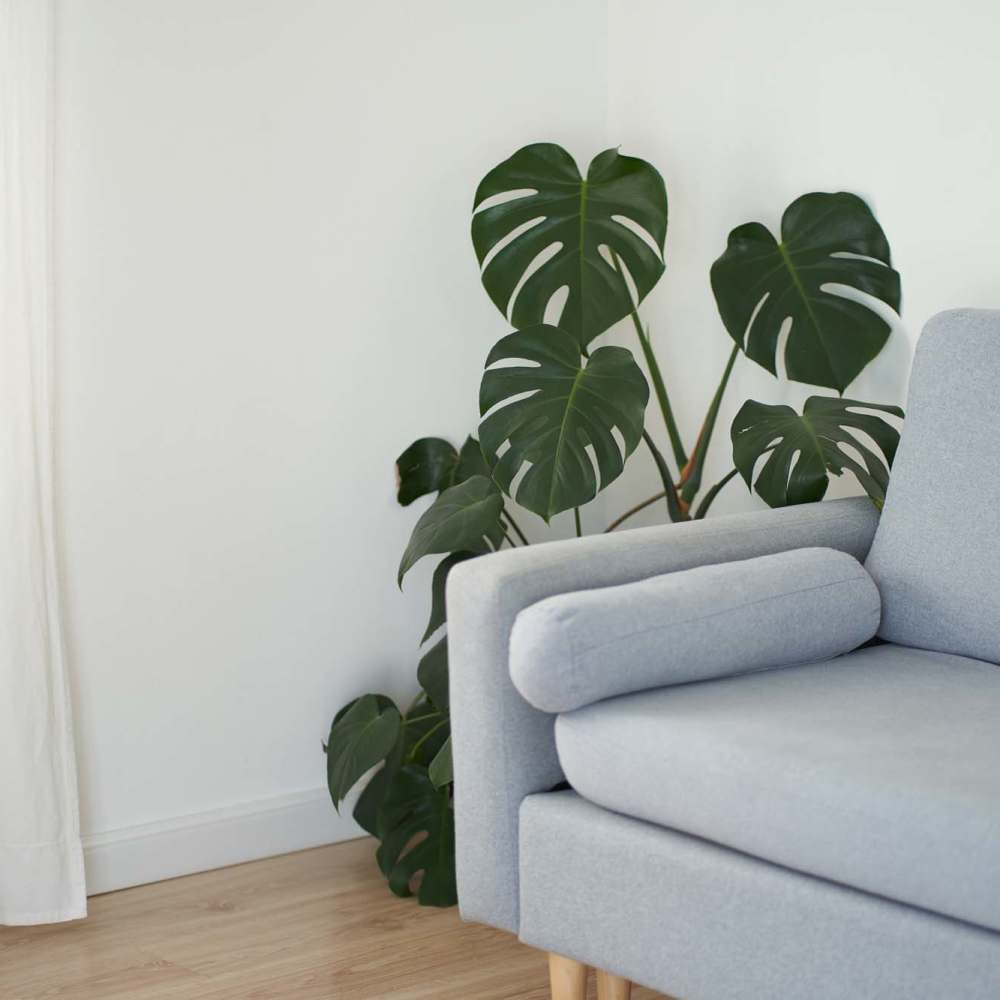 Couch at Linwood Apartments in Gainesville, Georgia