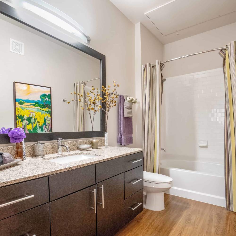 Bathroom with a dark vanity unit and a mirror at Grapevine Station in Grapevine,Texas
