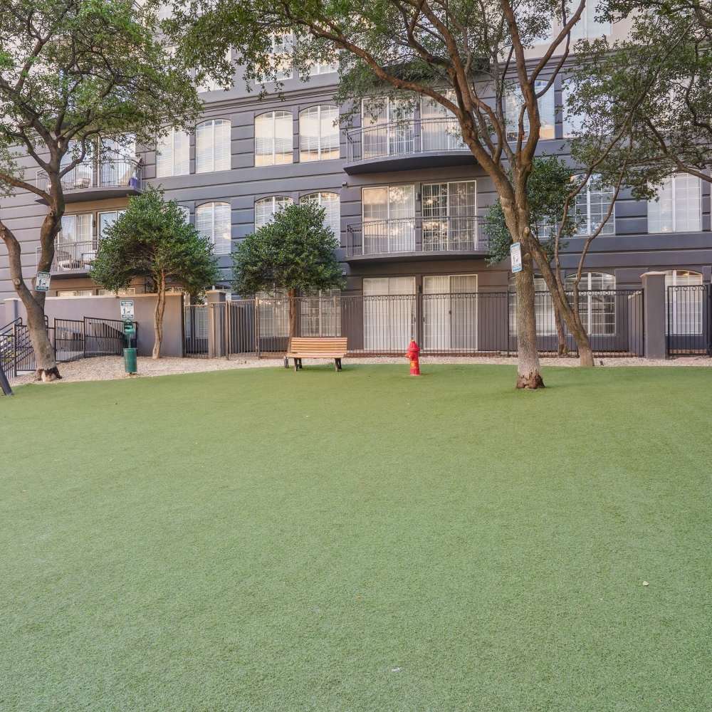 Dog park at Remi in Dallas, Texas