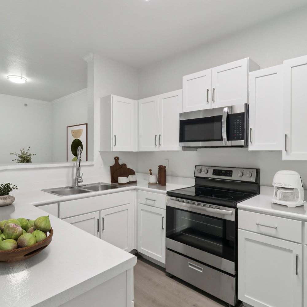 Kitchen with stainless-steel appliance  at Harlan at Med Center in San Antonio, Texas