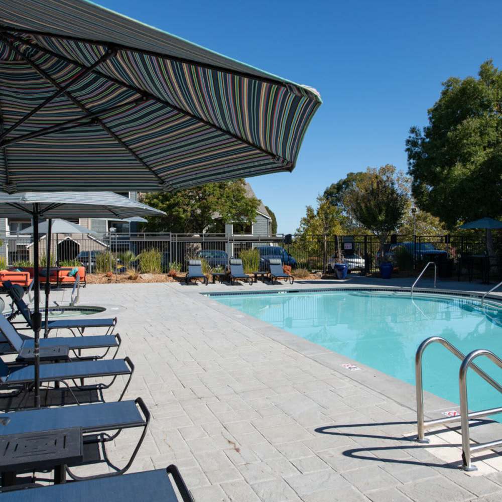 Sparkling water swimming pool at Vue 3600 in Richmond, California